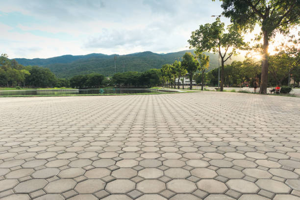 Best Concrete Paver Driveway  in Frederickson, WA